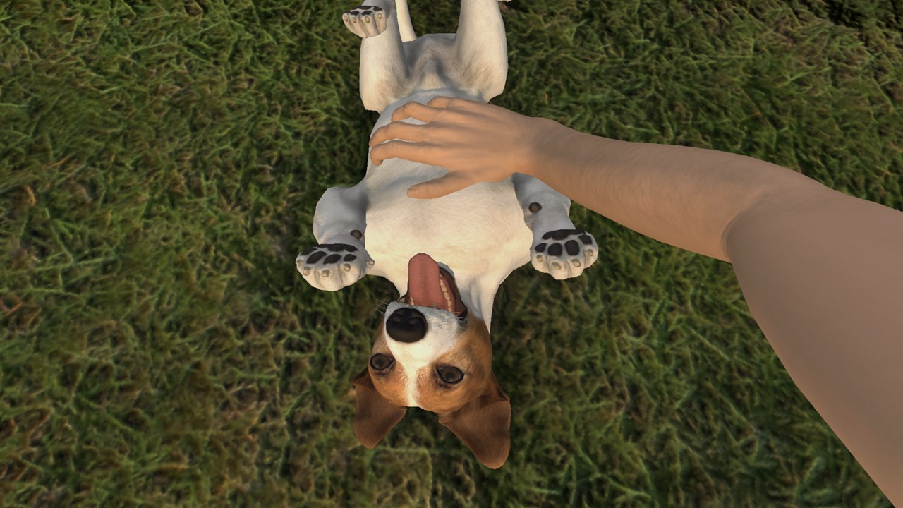 Pets Hotel screenshot 1