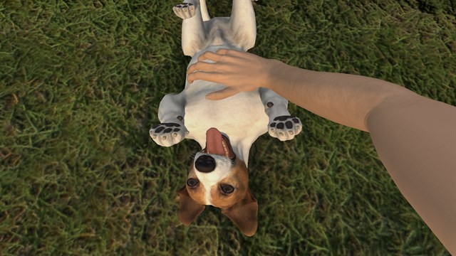 Pets Hotel screenshot 1