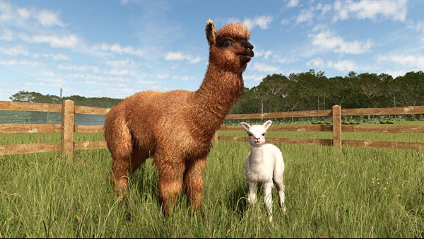 Farming Simulator 25: Beans & Alpacas Edition screenshot