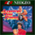 ACA NEOGEO AGGRESSORS OF DARK KOMBAT for Windows