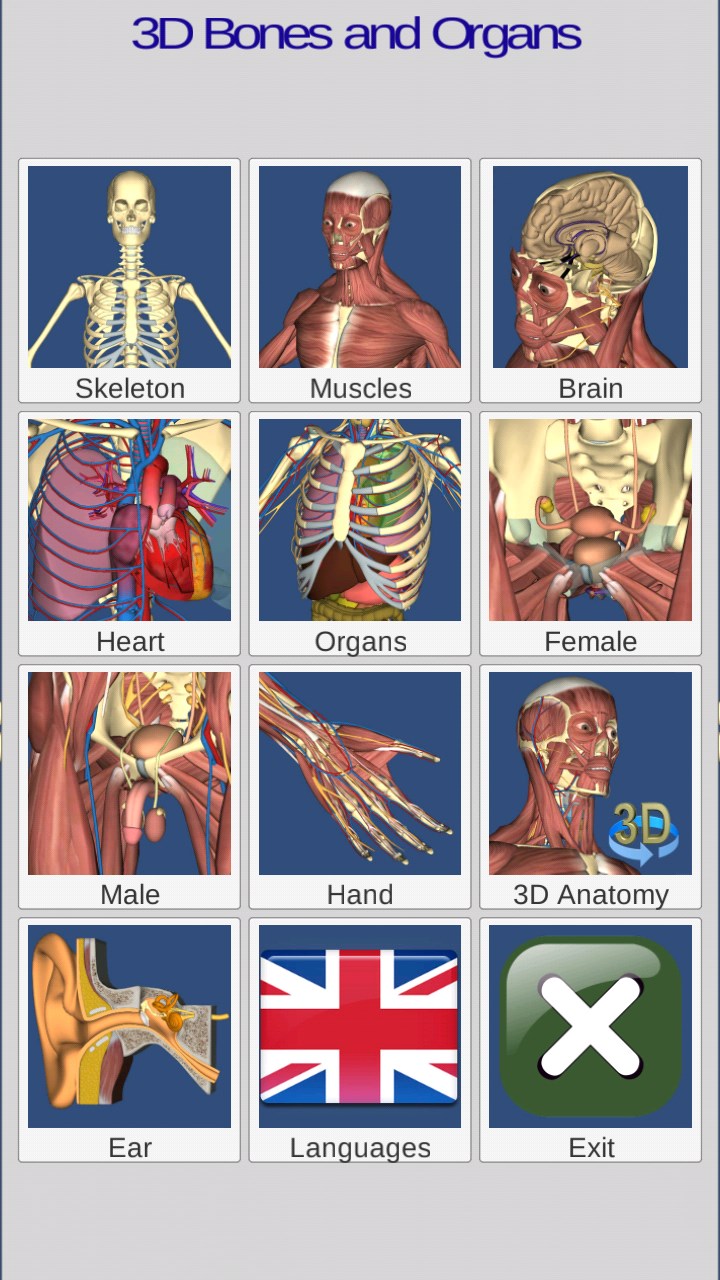 3D Bones and Organs (Anatomy) screenshot