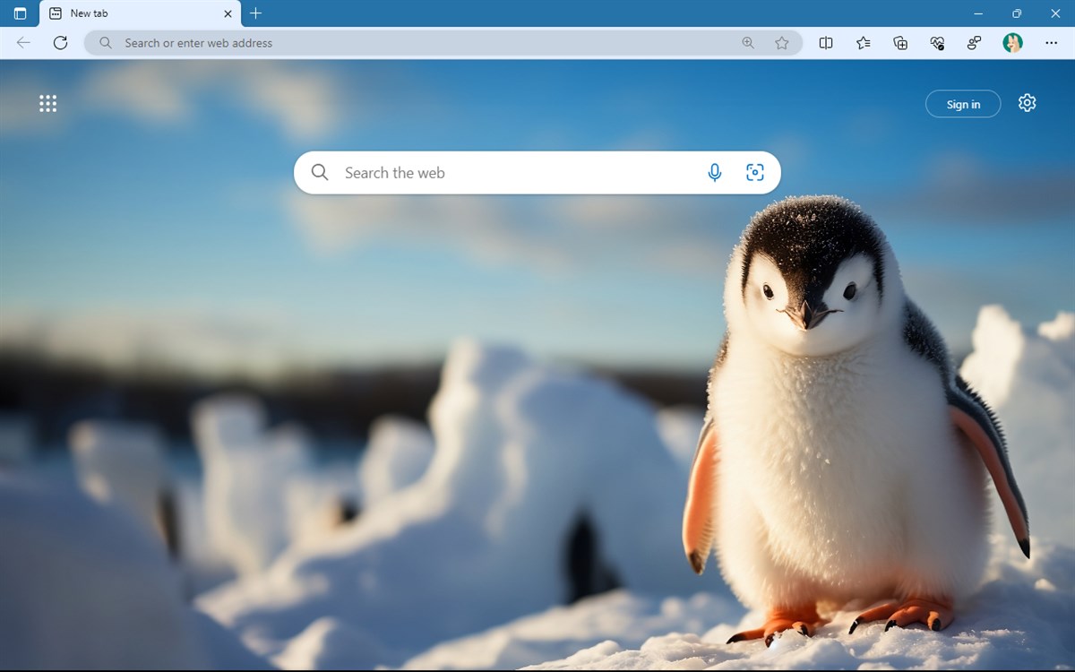 Little penguin