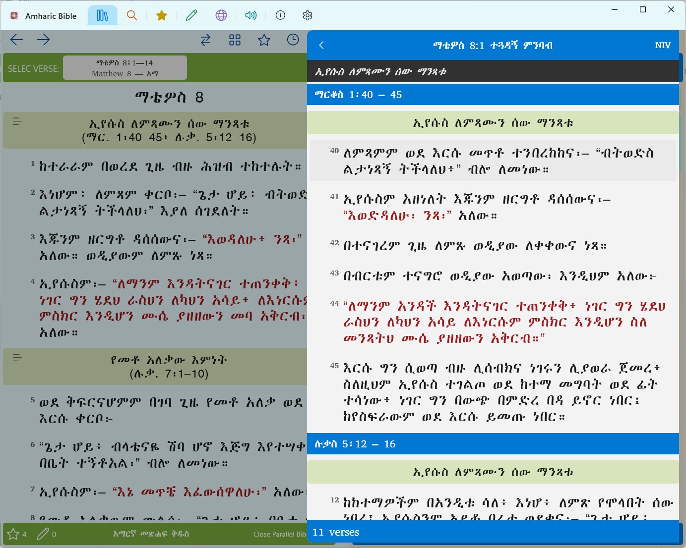 Amharic and Geez Study Bible screenshot