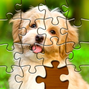 Jigsaw Puzzles Pro - Jigsaw Puzzle Games