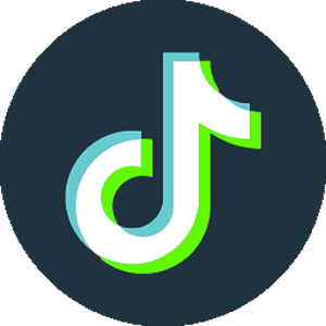 Tiktok Video Downloader