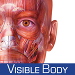 Muscle Premium: 3D Visual Guide for Bones, Joints & Muscles — Human Anatomy & Kinesiology