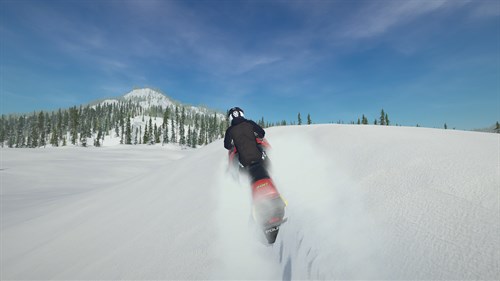 Sledders