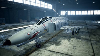 ACE COMBAT™ 7: SKIES UNKNOWN - 25th Anniversary Skin Set — скриншот 1