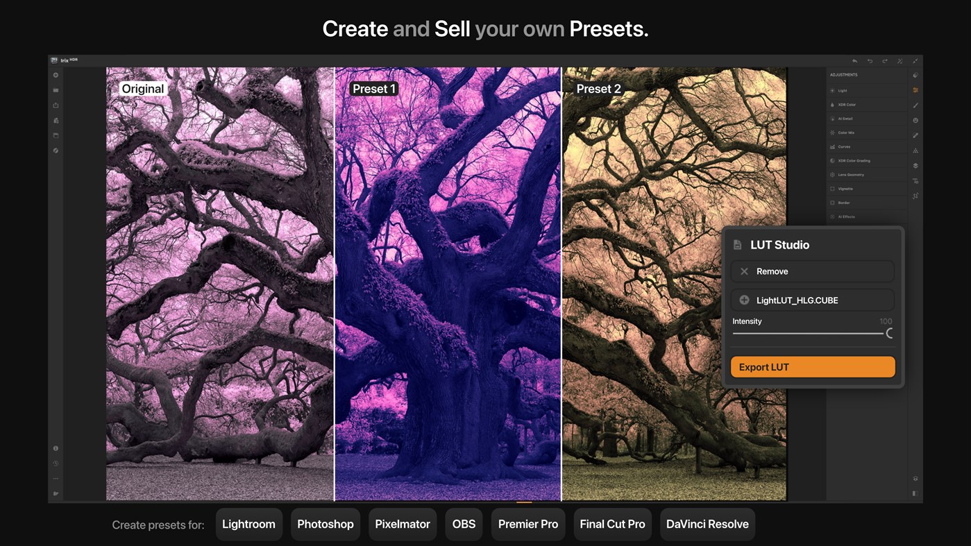 #6. Irix HDR Pro - AI Photo Editor (Windows) By: Binaire Private Limited