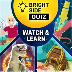 Bright Side: Quiz - Watch & Learn DLC cover image