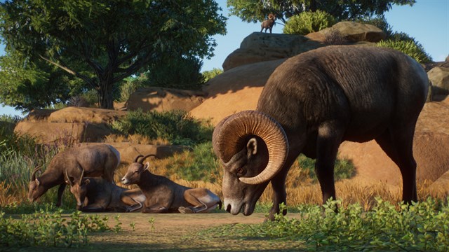 Planet Zoo: Americas Animal Pack screenshot 3