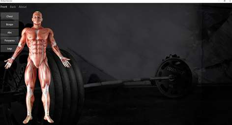 WinGym Exercises Screenshots 1