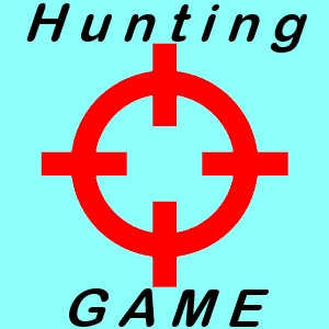 Bird Hunting Game