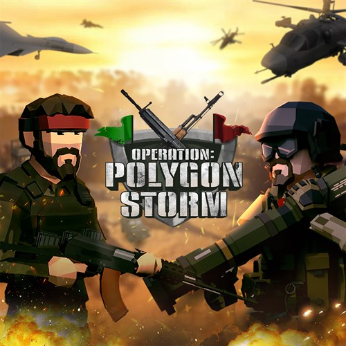 Operation: Polygon Storm cover image