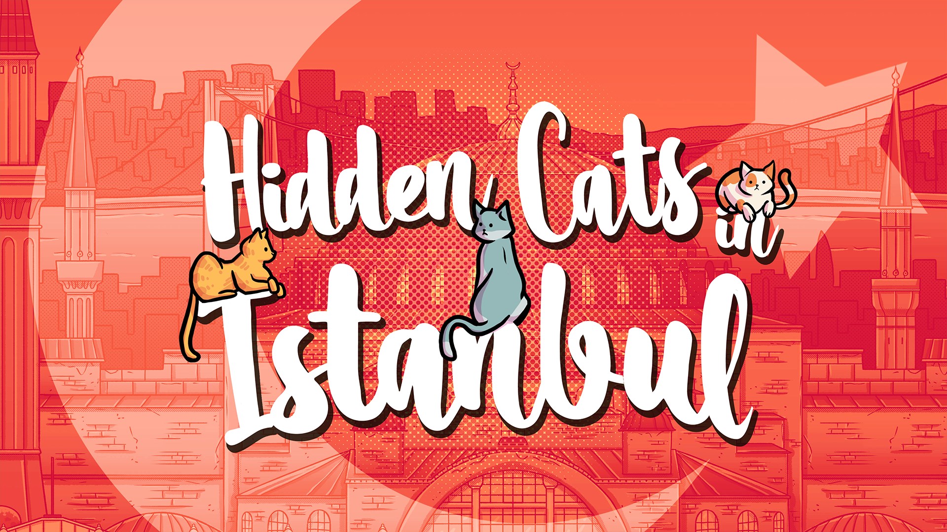 Hidden Cats in Istanbul screenshot thumbnail video