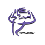 Muscle Map