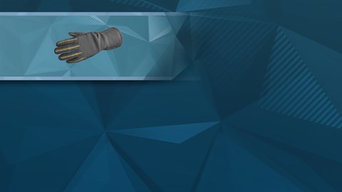 F1® 2019: Gloves 'Double Grey'