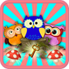 Crazy Owls