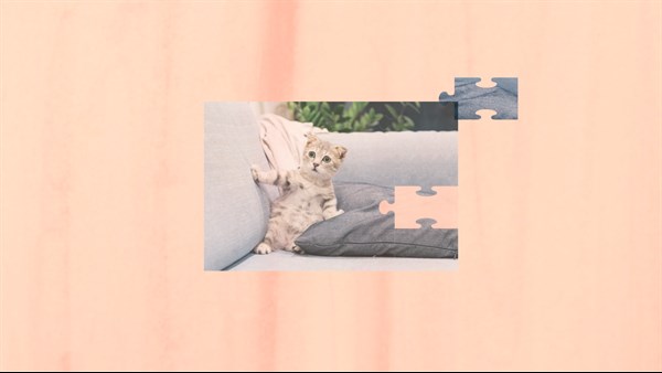 Jigsaw Puzzle Cats 2 — 5