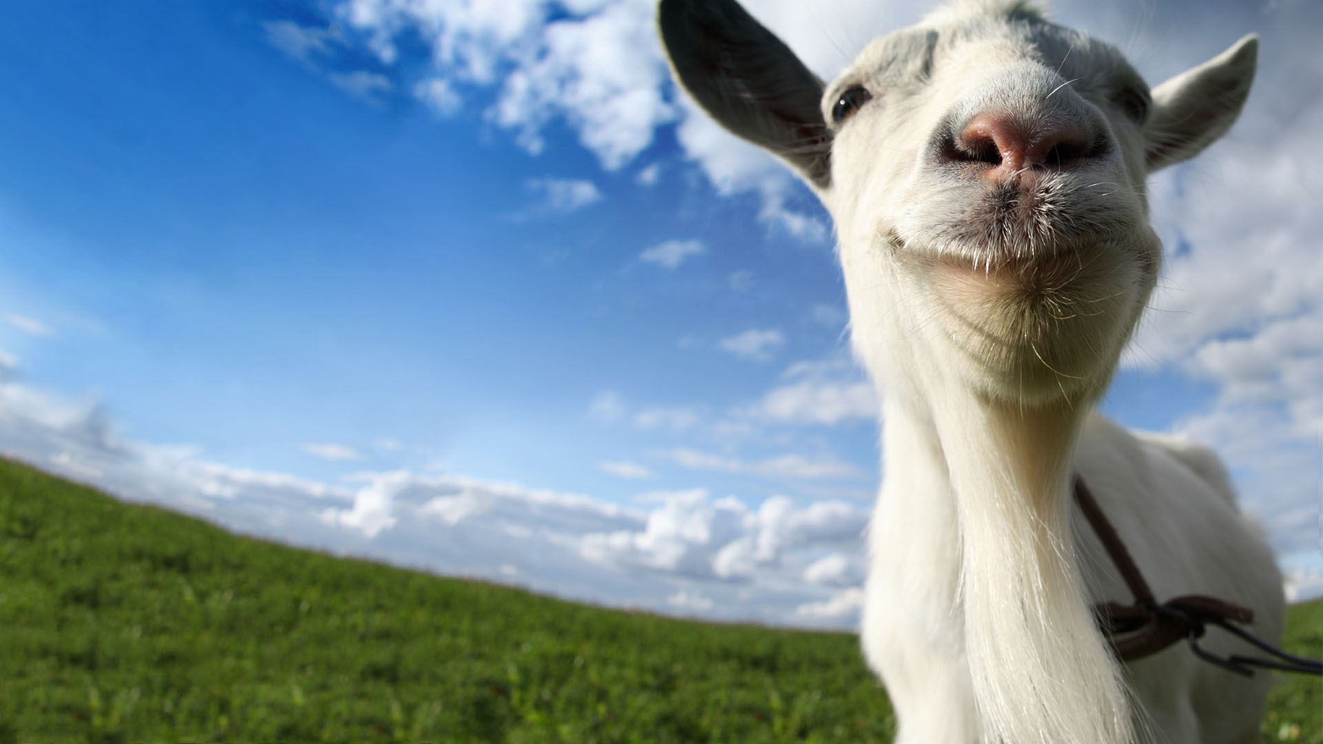 Buy Goat Simulator Microsoft Store En Gb - goat simulator in roblox