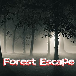 Forest Escape