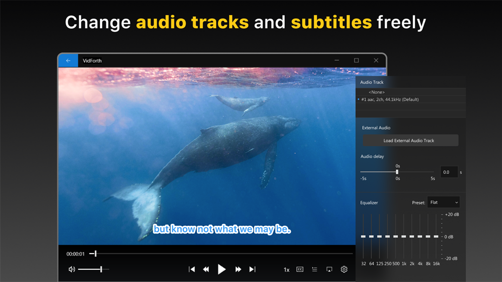 VidForth DVD Player: Free Video Player_4
