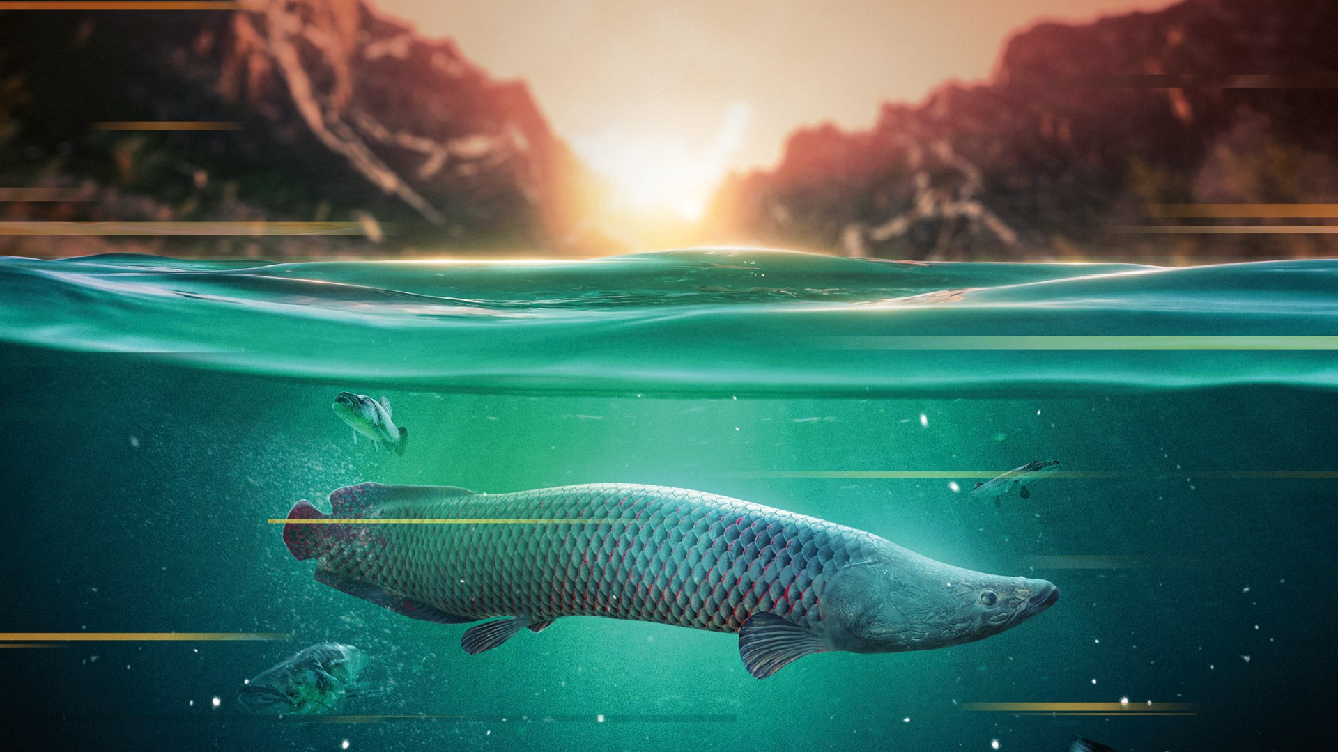 Fishing Sim World®: Pro Tour & The Catch: Carp & Coarse