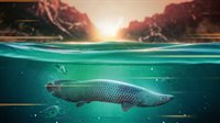 The Catch: Carp & Coarse - Deluxe Edition