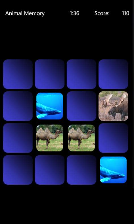 Animal Memory Screenshots 1
