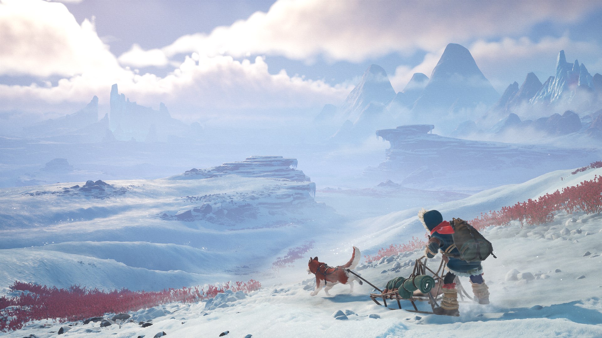 Cover art for Ikuma: The Frozen Compass