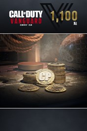 1,100 點《決勝時刻®：先鋒》點數 (Windows)
