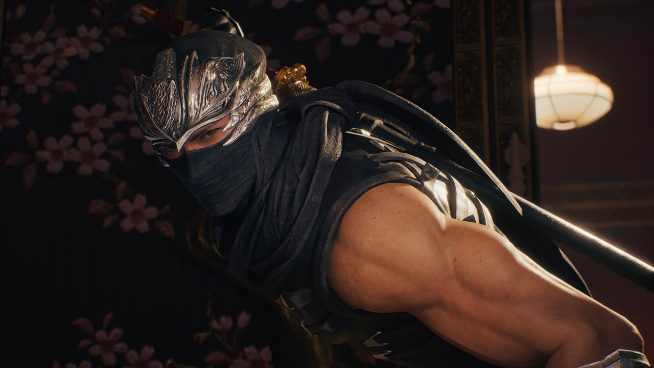 NINJA GAIDEN 2 Black screenshot 7