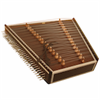 Santoor Pro