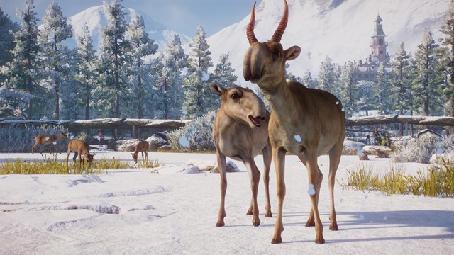 Planet Zoo: Oceania & Eurasia bundle screenshot 3