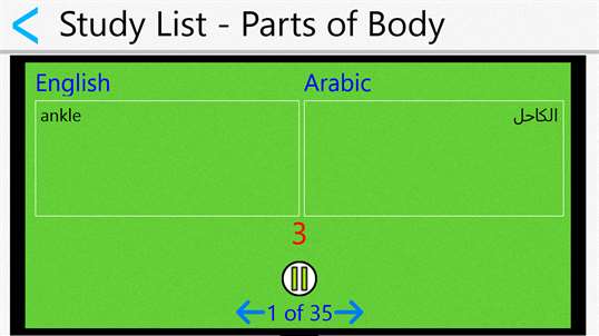 Quick and Easy Arabic Lessons screenshot 4