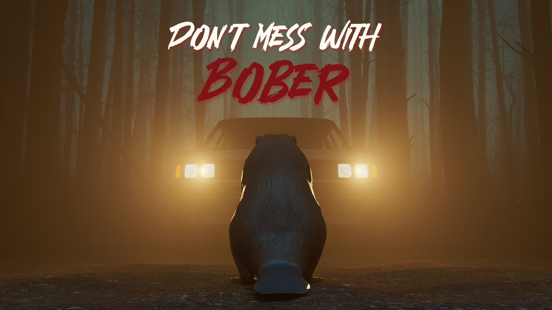 Don't Mess With Bober