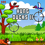 Hunt Ducks II Logo