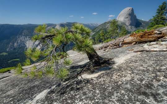 Scenes from Yosemite by Ingo Scholtes screenshot 1