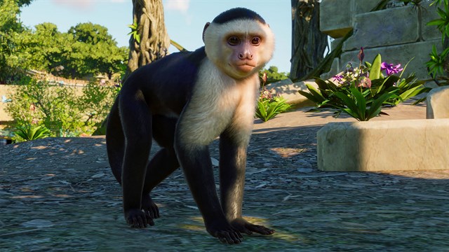Planet Zoo: Australia & South America bundle screenshot 2