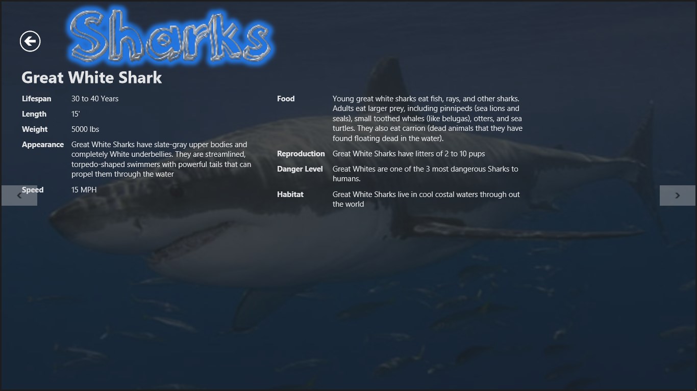 Shark 41 записи стримов. Текст Sharks? Sharks! Аудио. Sharks Sharks текст ответы. Sharks 9,3 грамма. That/those are Sharks что правильнее.