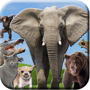 ABC Animals Zoo