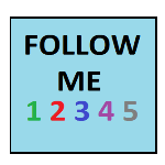 Follow Me Game