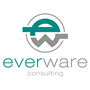 Everware Consulting - Batch Dependency Framework icon