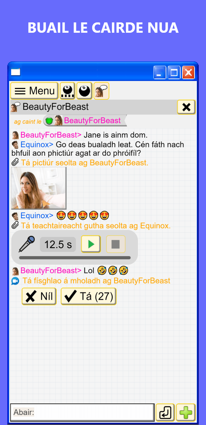 Foclóir Gaeilge-Béarla FocloirGaeilge.ie, image size:720x1480