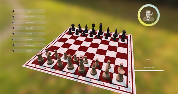 Fritz - Don't call me a chess bot — 14