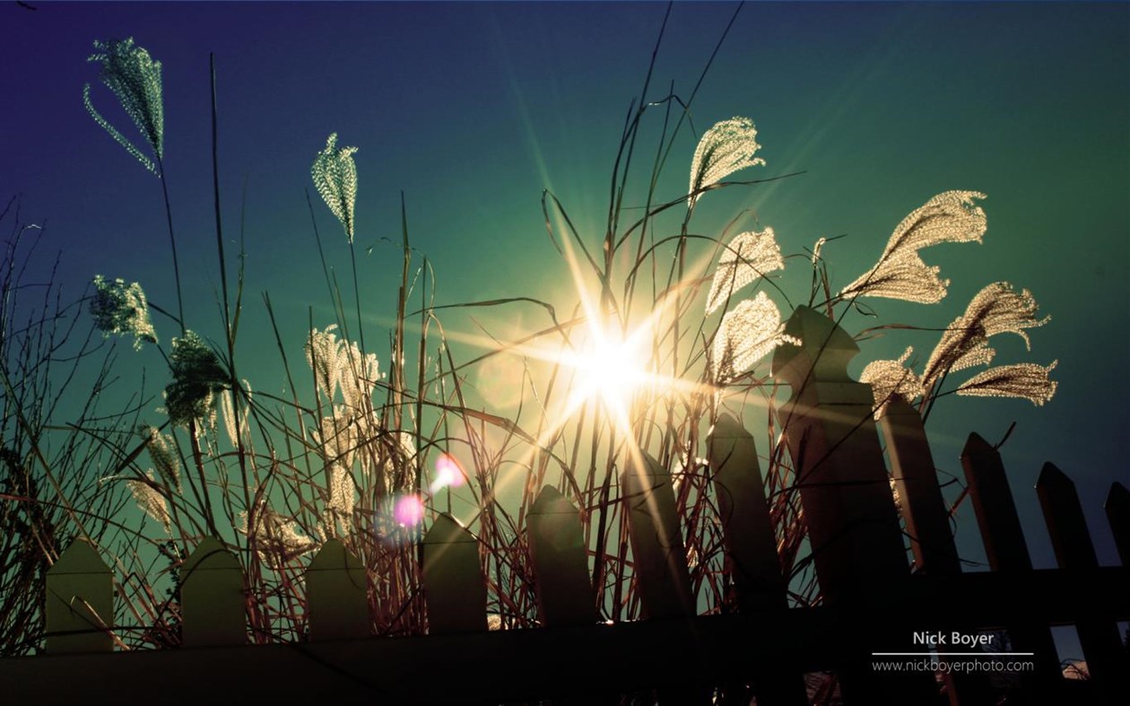 #3. Light and Dark by Nick Boyer (Windows) 由: Microsoft Corporation