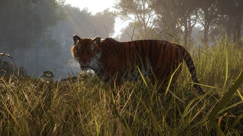 theHunter: Call of the Wild™ - Sundarpatan Nepal Hunting Reserve