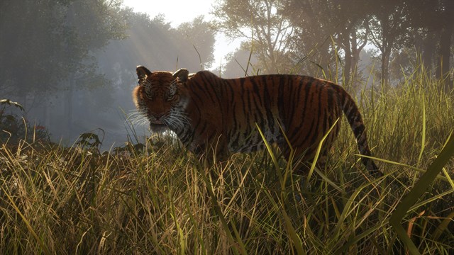 theHunter: Call of the Wild - Sundarpatan Nepal Hunting Reserve screenshot 2
