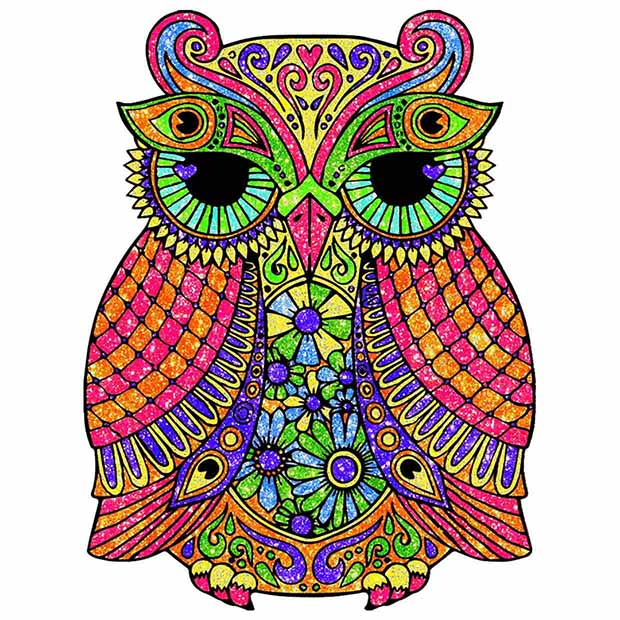 Owl Glitter Color by Number - Animals Coloring Book