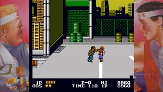 DOUBLE DRAGON screenshot 3